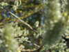 20210418111918-DSCN7065.JPG
