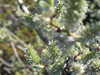 20210418111920-DSCN7066.JPG