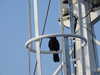 20210421072118-DSCN7157.JPG