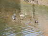 20210421100505-DSCN7181.JPG