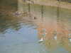 20210421100511-DSCN7182.JPG