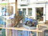 20210421150638-DSCN7187.JPG