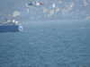 20210421163206-DSCN7271.JPG