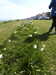 20210424095109-DSCN7326.JPG