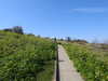 20210424095454-DSCN7327.JPG