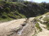 20210424103046-DSCN7339.JPG