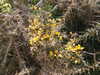 20210424103334-DSCN7343.JPG
