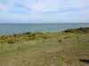 20210424103530-DSCN7344.JPG