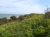 20210424103831-DSCN7345.JPG
