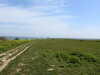 20210424104937-DSCN7348.JPG
