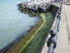 20210424111249-DSCN7356.JPG