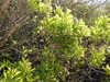 20210424113809-DSCN7357.JPG