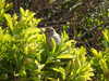 20210424113817-DSCN7360.JPG