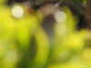 20210424113841-DSCN7363.JPG