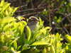 20210424113846-DSCN7364.JPG