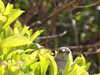 20210424113902-DSCN7365.JPG