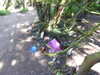 20210424131752-DSCN7388.JPG