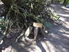 20210424131754-DSCN7389.JPG