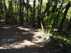 20210424131758-DSCN7390.JPG