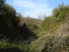 20210424132453-DSCN7392.JPG