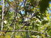 20210424132538-DSCN7394.JPG