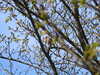 20210424132710-DSCN7396.JPG