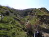 20210424133134-DSCN7400.JPG