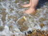 20210424135331-DSCN7404.JPG