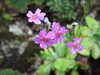 20210508120045-DSCF5901.JPG