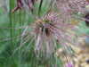 20210508120204-DSCF5904.JPG