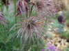 20210508120208-DSCF5905.JPG