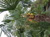 20210508132342-DSCF5912.JPG