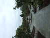 20210508132352-DSCF5913.JPG