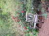 20210508132502-DSCF5915.JPG