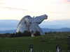 20210515200414-DSCN7424.JPG
