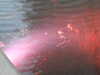 20210515203541-DSCN7472.JPG