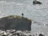 2021-05-16:Loch Ness
