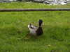 20210517101252-DSCN7493.JPG