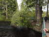 20210517101731-DSCN7505.JPG