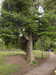 20210517101927-DSCN7509.JPG