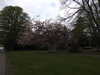20210517102957-DSCN7520.JPG