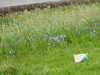 20210517105920-DSCN7538.JPG