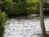 20210517125746-DSCN7566.JPG