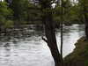 20210517125954-DSCN7569.JPG