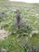 20210518123346-DSCN7614.JPG