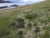 20210518123349-DSCN7615.JPG