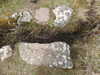 20210518124136-DSCN7628.JPG
