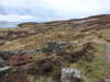 20210518124346-DSCN7632.JPG