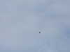 20210518124741-DSCN7635.JPG