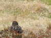 20210518131001-DSCN7664.JPG